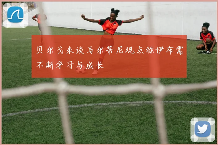 贝尔戈米谈马尔蒂尼观点称伊布需不断学习与成长